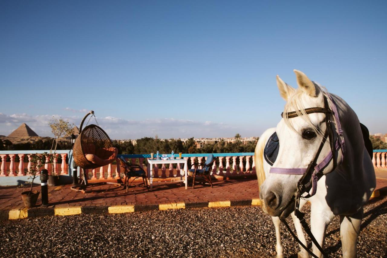 Heru Pyramids View Hotel Kairo Bagian luar foto
